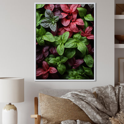 Herbes Basil Vibrance 2 - Art floral herbes murales
