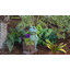 Statue de grenouille pensative sleep Seidel-1492081513