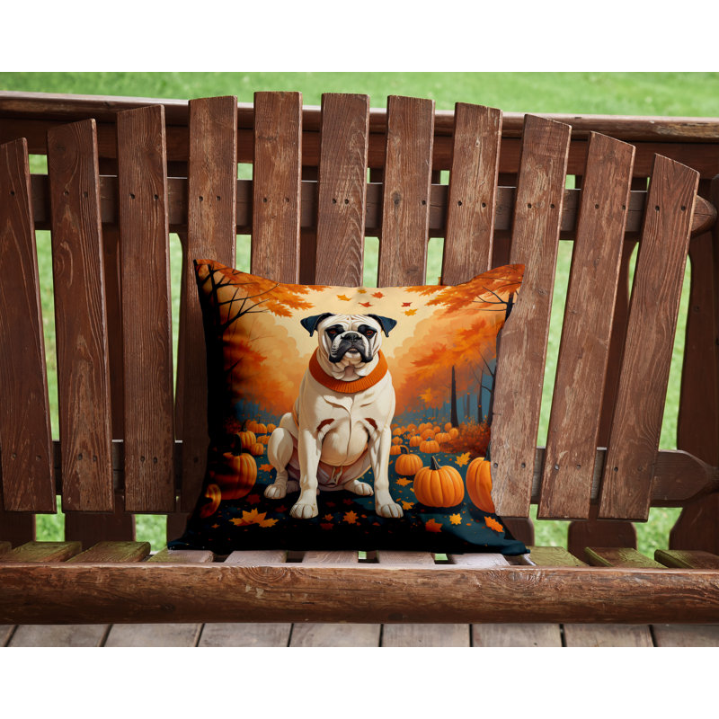  Coussin décoratif intérieur / extérieur en polyester Autre / Sans motif, 14 po x 14 po