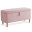 Dayvian 39.3" Storage Ottoman Bench for End of Bed-1359104758
