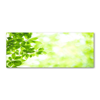 Leaves - Wrapped Canvas Print