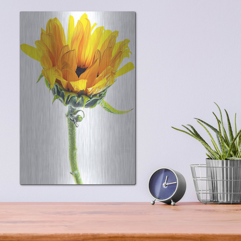 «Tournesol au soleil» par Pamela Plummer, H 16 po x l 12 po
