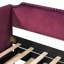 Twin Size Velvet Upholstered Daybed with Pop Up Trundle