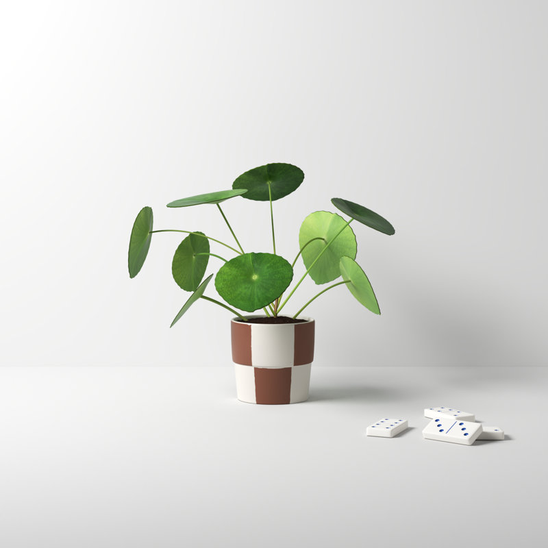 Caitlin Ceramic Pot Planter, 3.25" H x 3.25" W x 3.25" D