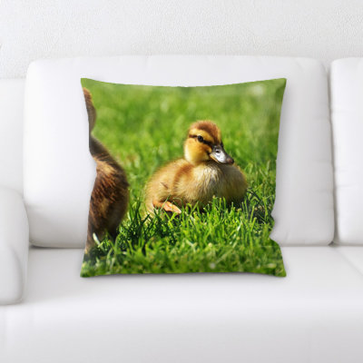 Coussin de poussins