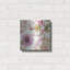 «Rainbow Seeds Paisley I» par Lisa Audit