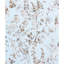 Oriana Nanjing 100% Cotton Fabric-24023579