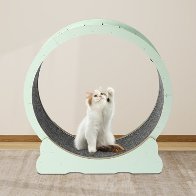 Large Cat Running Wheel Treadmill