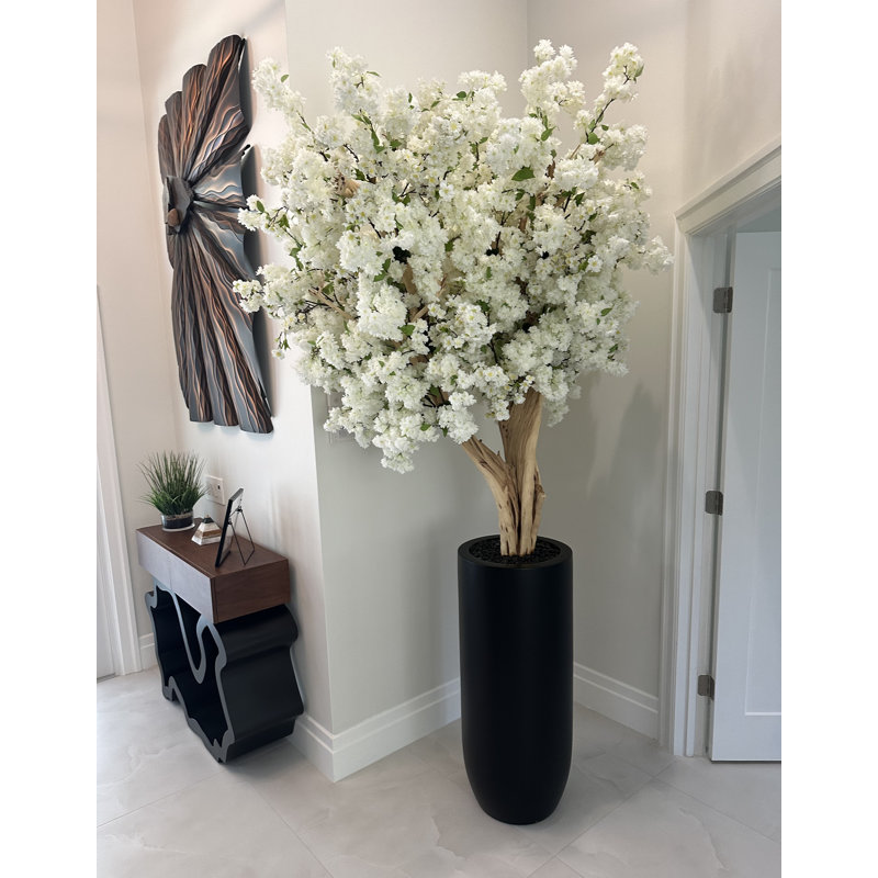 White Cherry Blossom Tree In Matte Planter, White