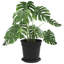Pot Planter-52013149-52013144