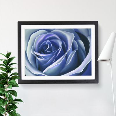 Dreamlike Rose Flower - Single Picture Frame Print