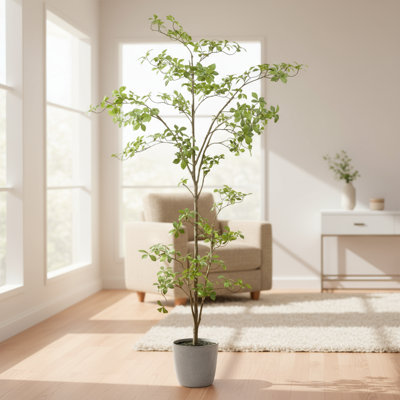 Bonsai à poser