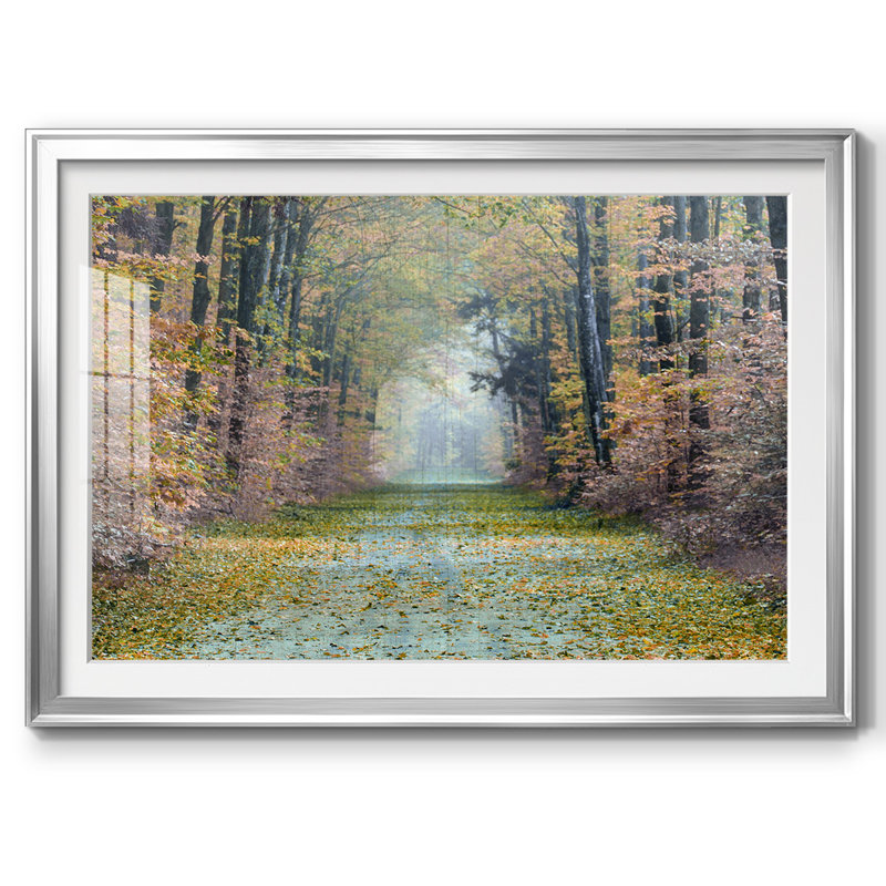 Enchanted Path, reproduction d'art encadrée sur papier, H 30 po x l 44 po x P 1,5 po, Argent