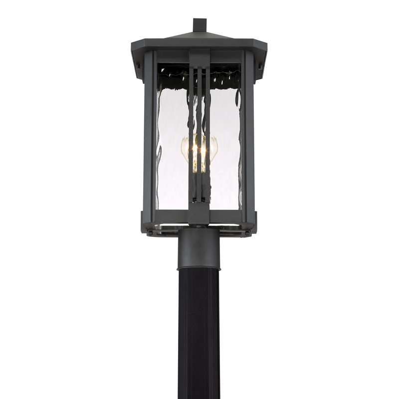Vitela Lantern Head