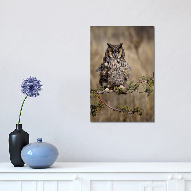 Look Who's There 1 Piece Wrapped Canvas Wall Art, 30.48 cm H x 45.72 cm W