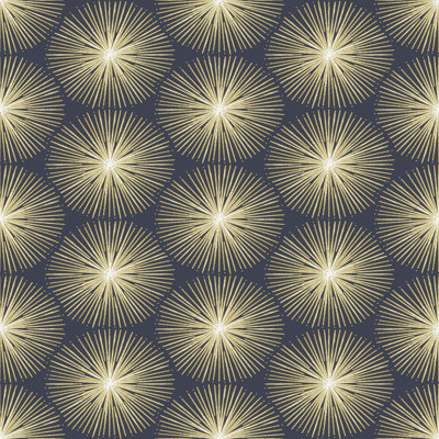 Sublime Fire Circle Wallpaper