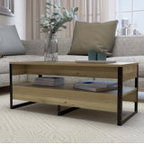 Carrick Frame Coffee Table with Storage and Metal Legs