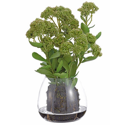 20"SEDUM IN GLASS VASE GR