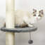 217cm H Cat Tree