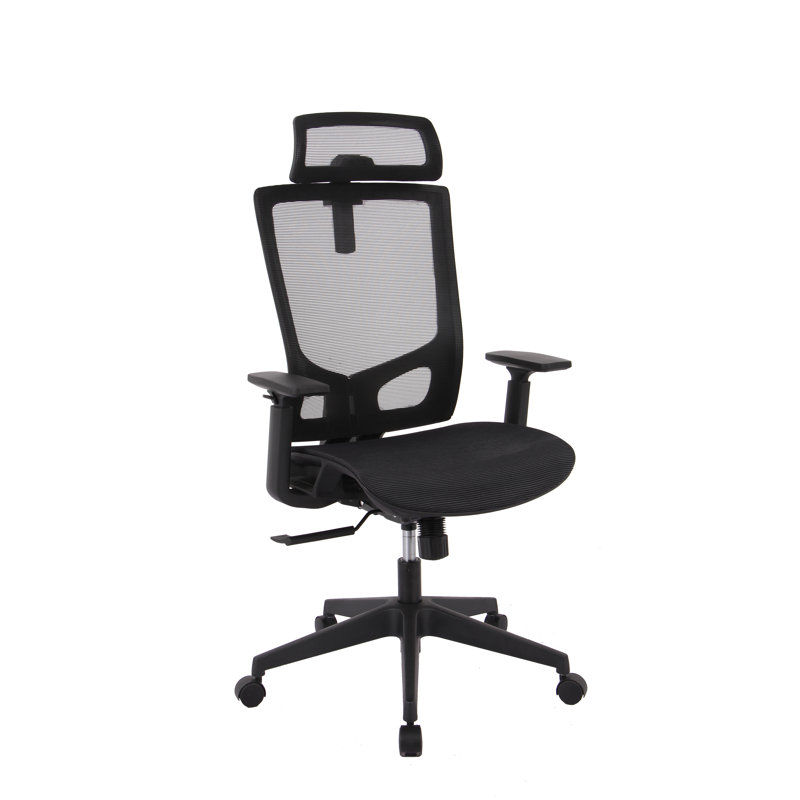 Amayrany Task Chair with Headrest