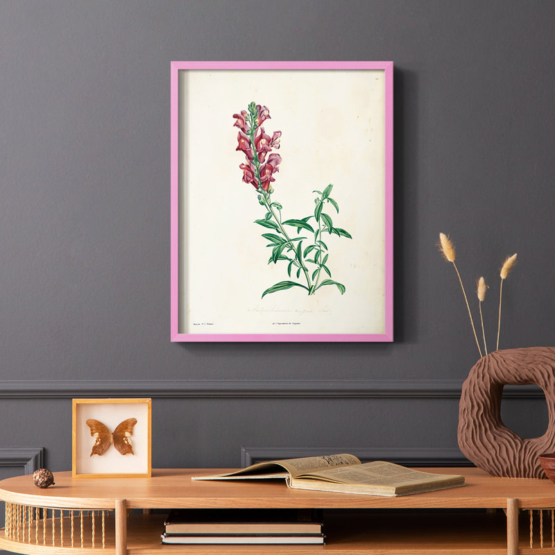 «Traditional Botanical I», reproduction encadrée - bois massif, Brun, H 14 po x l 11 po