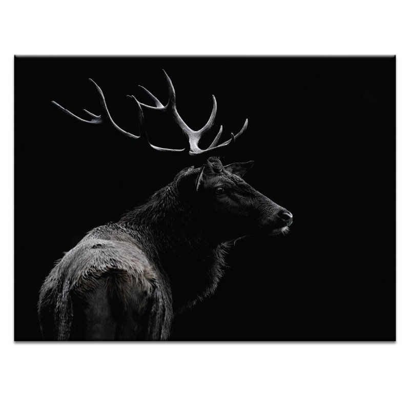 Print on Canvas, 41cm H x 51cm W, Wrapped Canvas