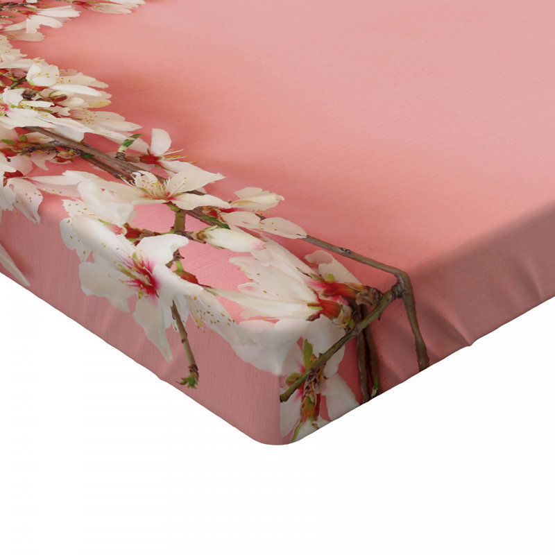 Microfiber Fitted Sheet, Twin XL Fitted Sheet