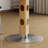 Simple small-sized dining table-452084890