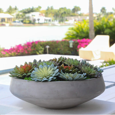 Plante succulent artificielle 2,00" en vase décoratif