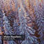 Rideau de douche Bright Winter Morning-493956679