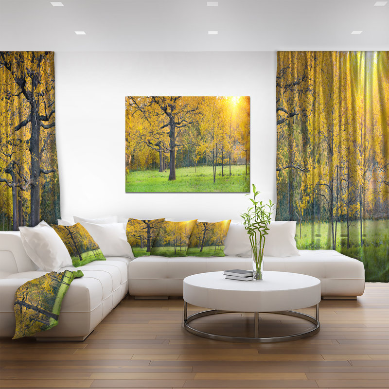 " Sunny Park With Oak Panorama ", 16" H x 32" W x 1" D, Wrapped Canvas