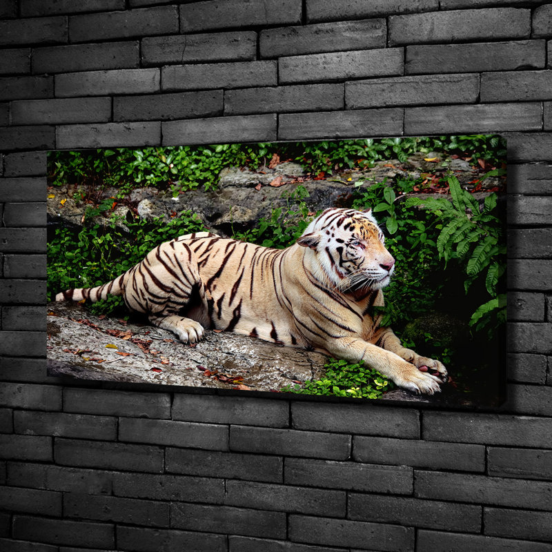 1 Piece Wall Art, 50cm H x 100cm W, Canvas