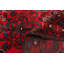 Tapis rouge Teimani 3 pi 4 po x 5 pi 6 po
