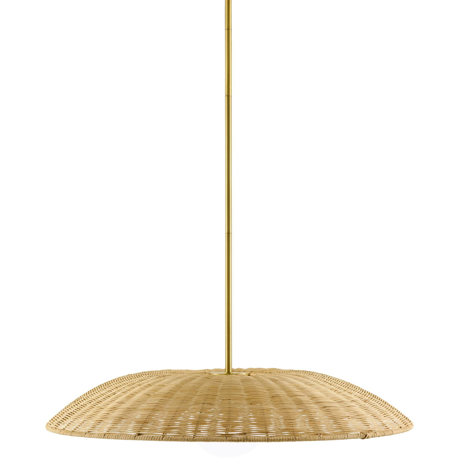 Single Light Pendant