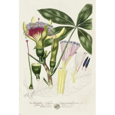 " Imperial Tropical Botanical II " by John Miller