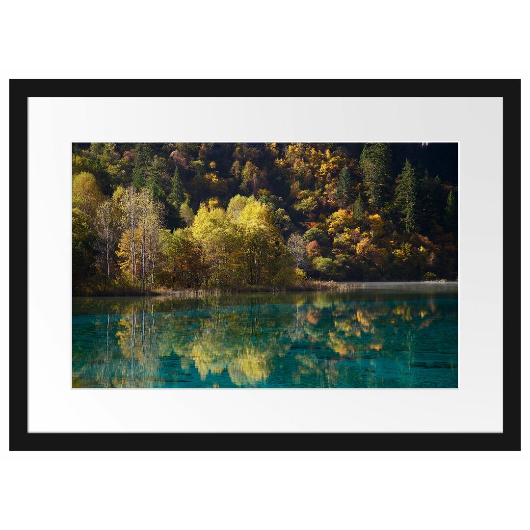 Gerahmtes Poster Herbstlicher Wald am See