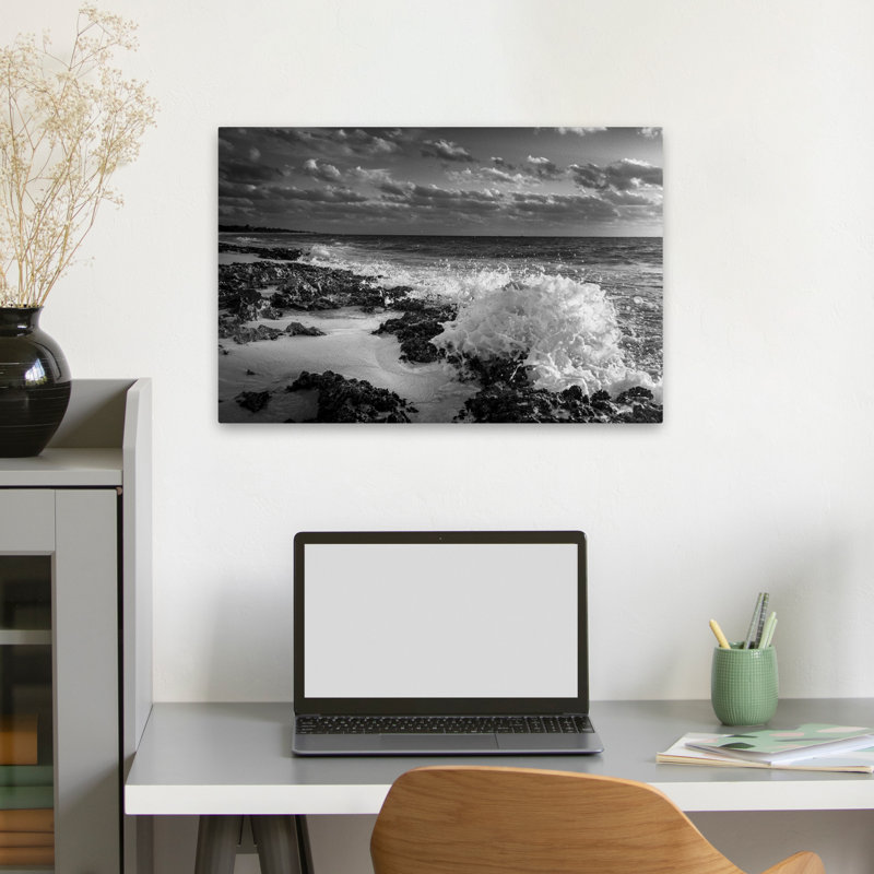 Bord de mer rampant - coquillages côtiers et corail, photographie d'art marin noir et blanc, H 16 po x l 24 po