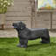 Banc d'extérieur MGO DOG Bench, noir mat + noir, aucun assemblage requis