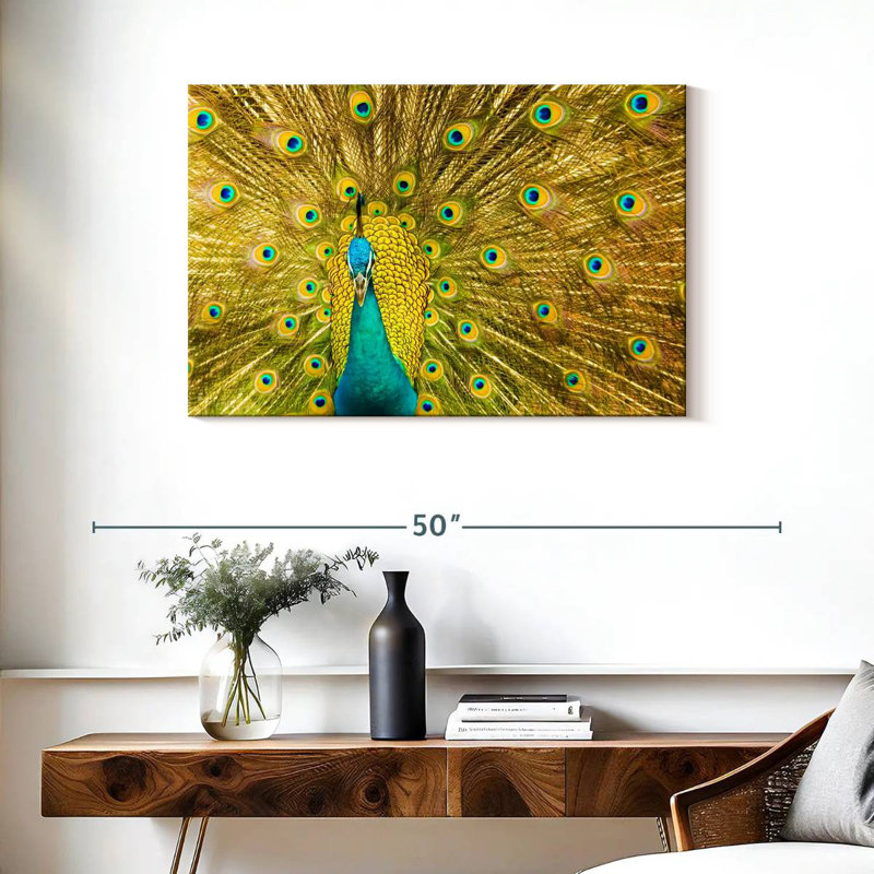 Glorious Peacock Feather, H 24 po x l 36 po