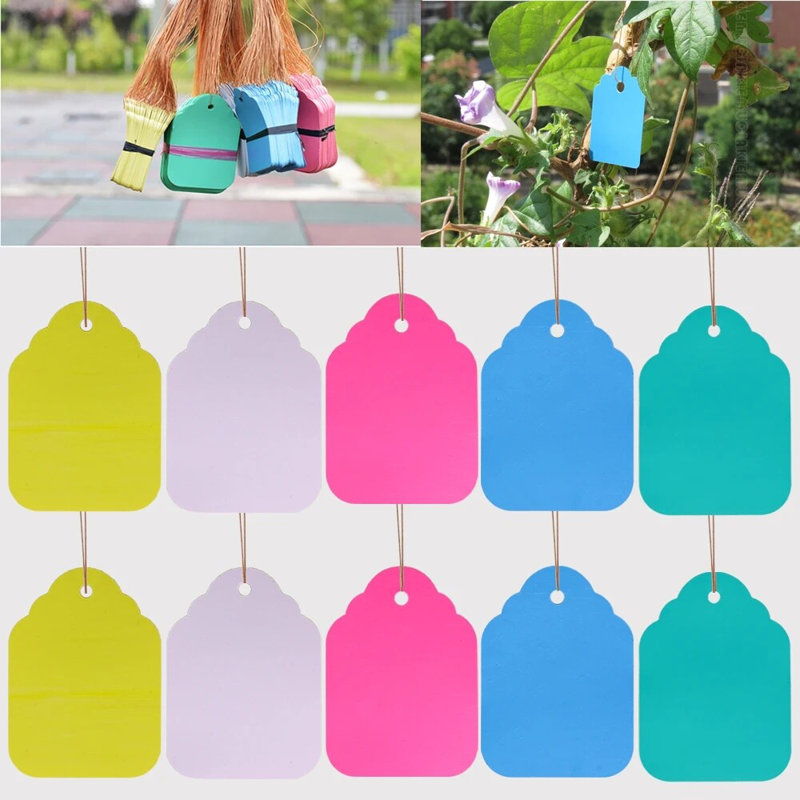 100 étiquettes pour plantes suspendues et imperméables