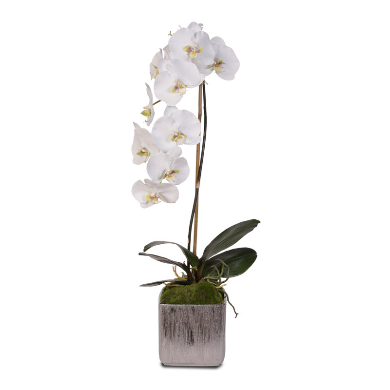 Arrangement floral orchidées en soie phalaenopsis en pot