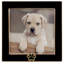 Picture Frame, Dog Paw Print (Black)