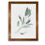 « simple sage i »-cadre photo imprimé sur verre-343747230-343747219