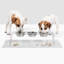 Medium Triple Dog Bowl Feeder With Silver Bowls-1387318504