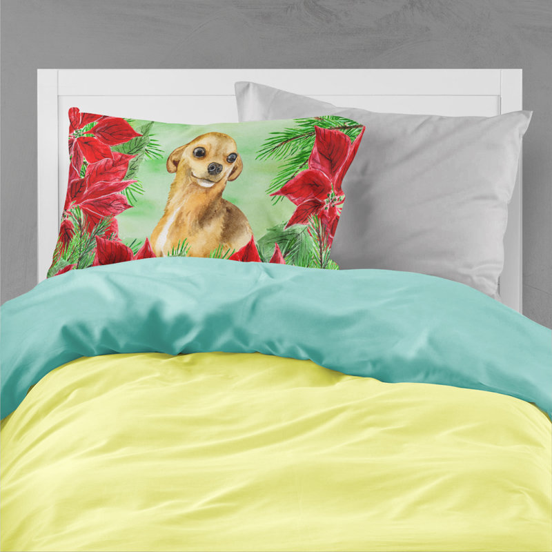 Microfiber, Brown Chihuahua