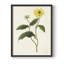 «Flowers of the Seasons», reproduction encadrée en bois massif-397783773-397783771