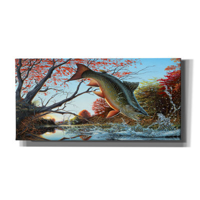 «Splash Of Color - Brook Trout On Canvas» par Mark Mueller, reproduction d'art sur la faune