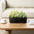 Indoor Matte Black Ceramic Pot Planter