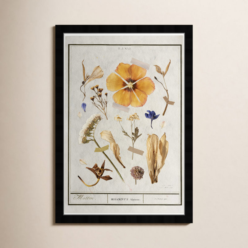 " Botanical Collage " by Oliver Gal, Black, 47" H x 32" W