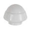 Globe Lamp Shade